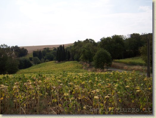 Clicca per scorrere le foto originali ingrandite