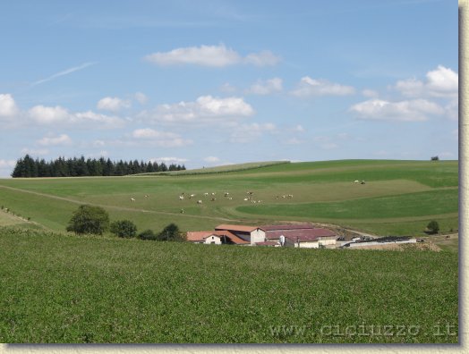 Clicca per scorrere le foto originali ingrandite